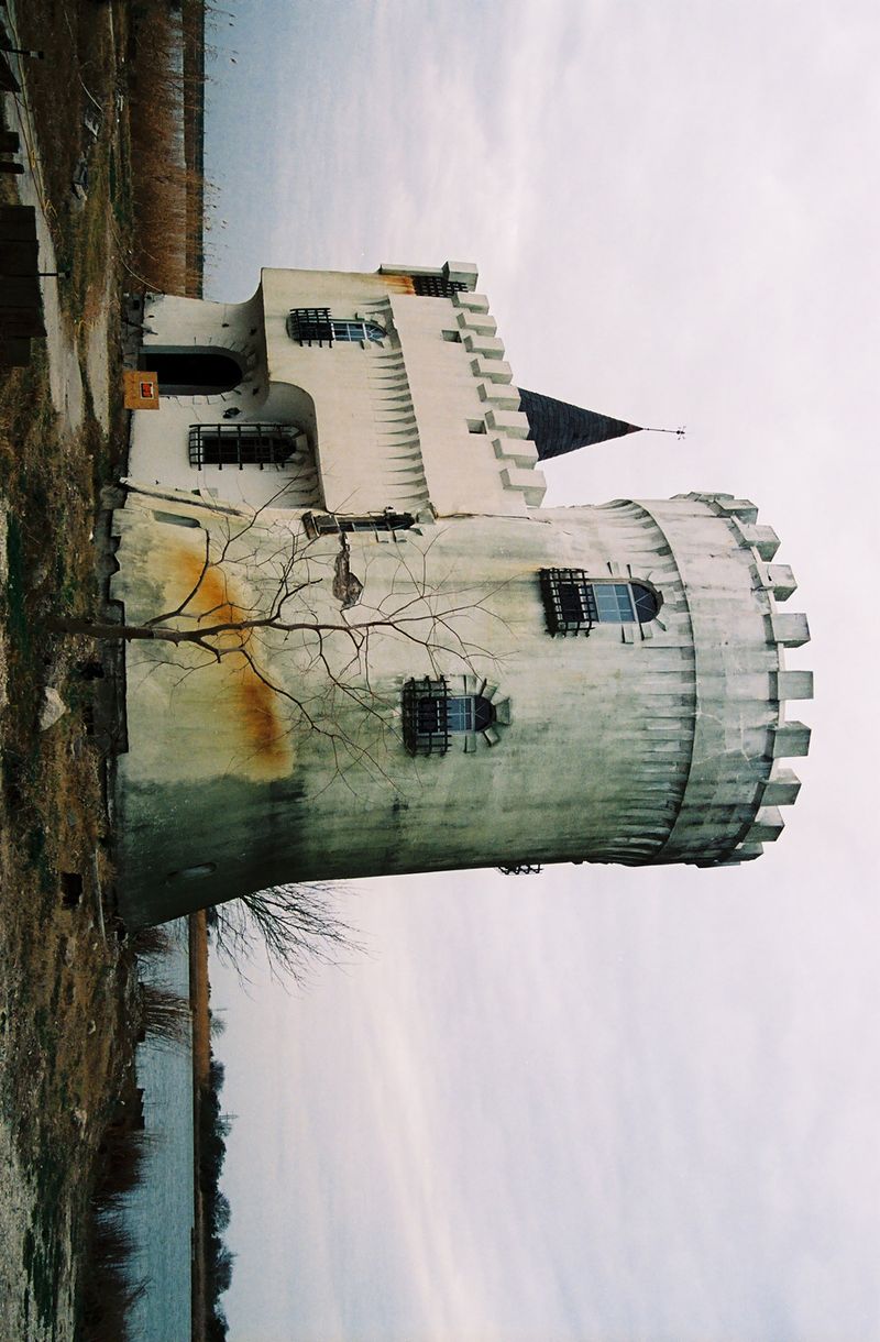 © Logan  White - Image from the Another Day, Another Rose Garden photography project