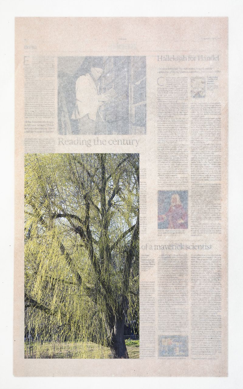 © Mikko Rikala - Cognitive Shift (4), 56 x 33cm, pigment print, framed