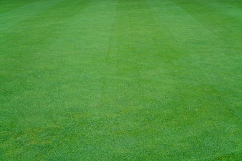 © Rebecco Ann Tess - Naturally Green(Golf course, Berlin, 2017)2019