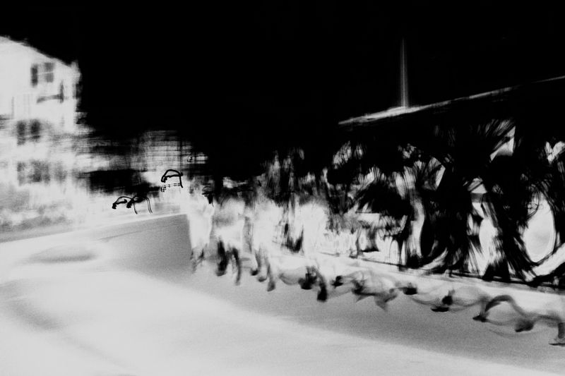 © Megan Connie Peng - Run 12, Kilometer 5; Copenhagen, Denmark, 2025