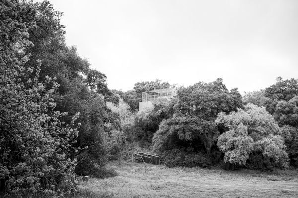 © Ellie Beresford - A view of a parrot cage from the zoo carpark.