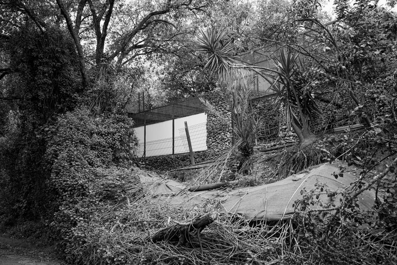 © Ellie Beresford - The result of continuous stormy weather in early 2026 across Southern Spain.