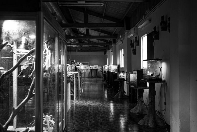 © Ellie Beresford - Endless rows of small glass tanks containing various vertebrates and invertebrates.