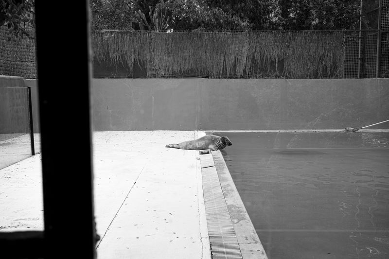 © Ellie Beresford - Pool maintenance.