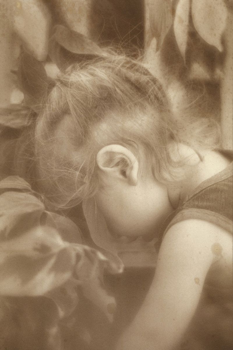 © Eleanor Oakes - Lior