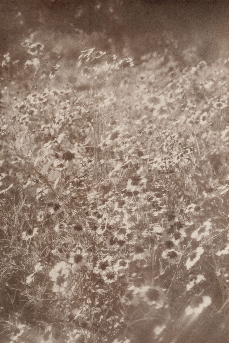 © Eleanor Oakes - Image from the milk and tears photography project
