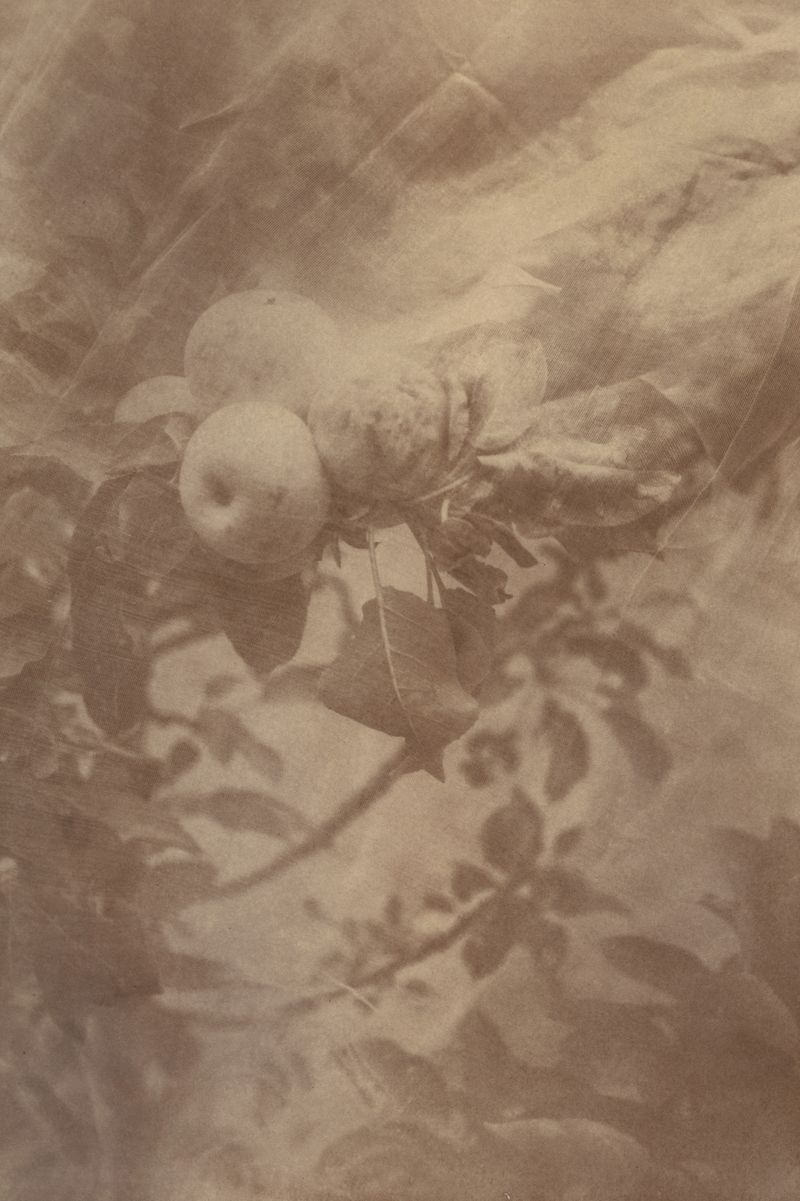 © Eleanor Oakes - Image from the milk and tears photography project