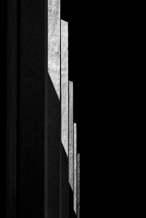 Lines of Shadow