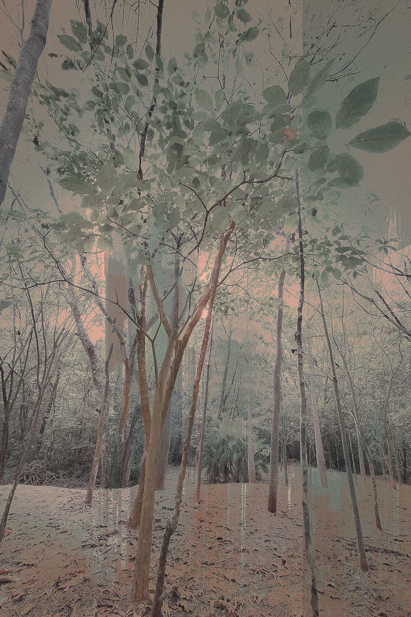 © José Roberto Bassul - Image from the Invisible Cities photography project