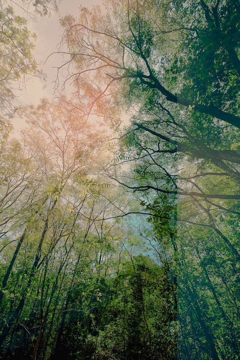 © José Roberto Bassul - Image from the Invisible Cities photography project