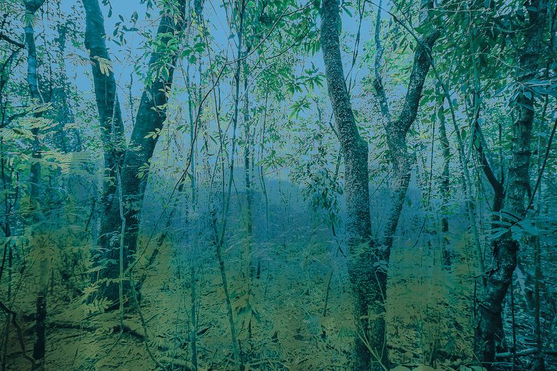 © José Roberto Bassul - Image from the Invisible Cities photography project