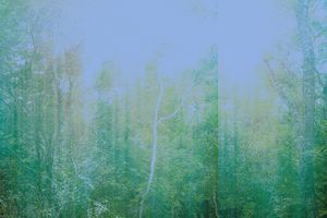 Invisible Cities