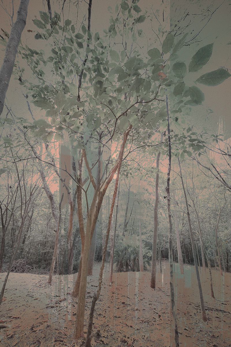 © José Roberto Bassul - Image from the Invisible Cities photography project