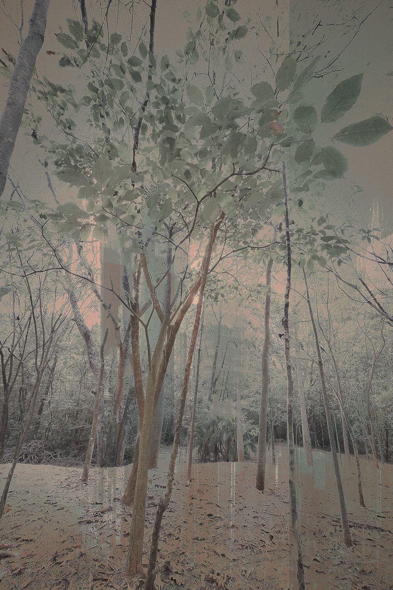 © José Roberto Bassul - Image from the Invisible Cities photography project