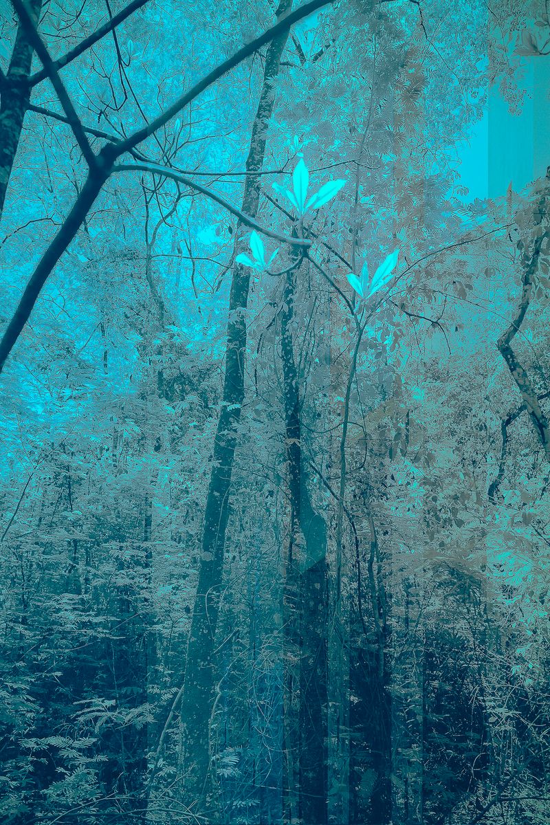 © José Roberto Bassul - Image from the Invisible Cities photography project