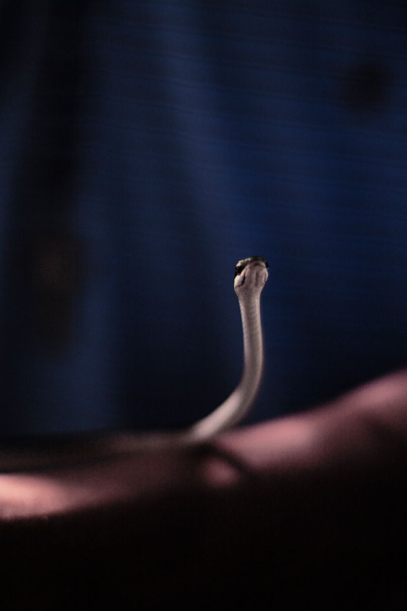 © Federico Vespignani - Image from the Por Aquí Todo Bien photography project