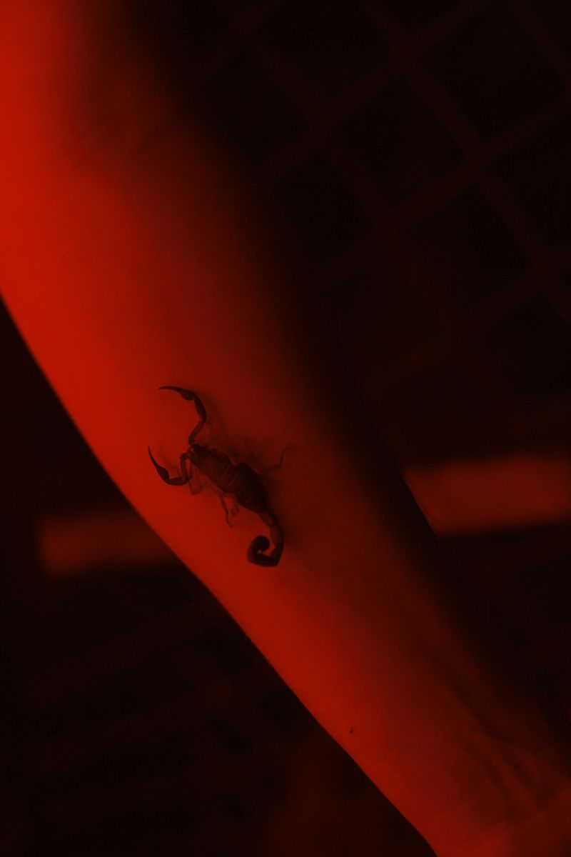 © Federico Vespignani - Image from the Por Aquí Todo Bien photography project