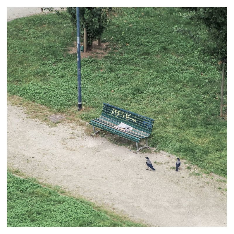 © Matteo Garzonio - Image from the Rear Window (the bench) photography project