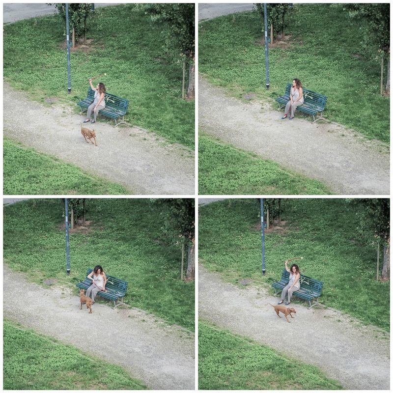 © Matteo Garzonio - Image from the Rear Window (the bench) photography project