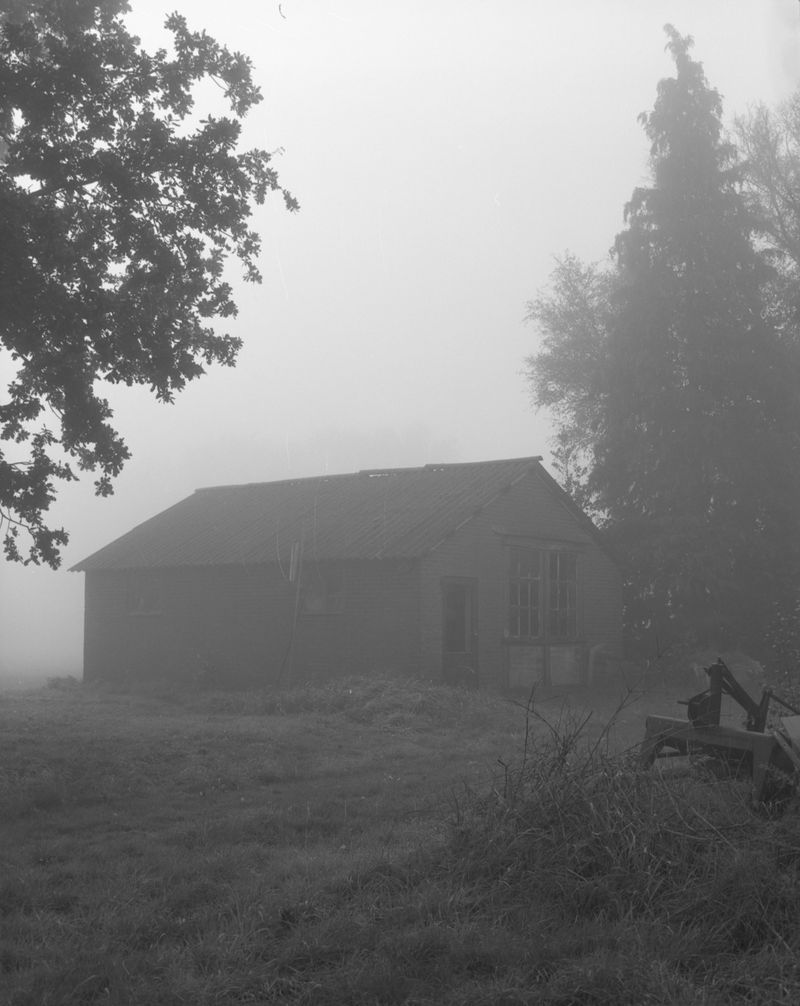 © Farren van Wyk - Mist