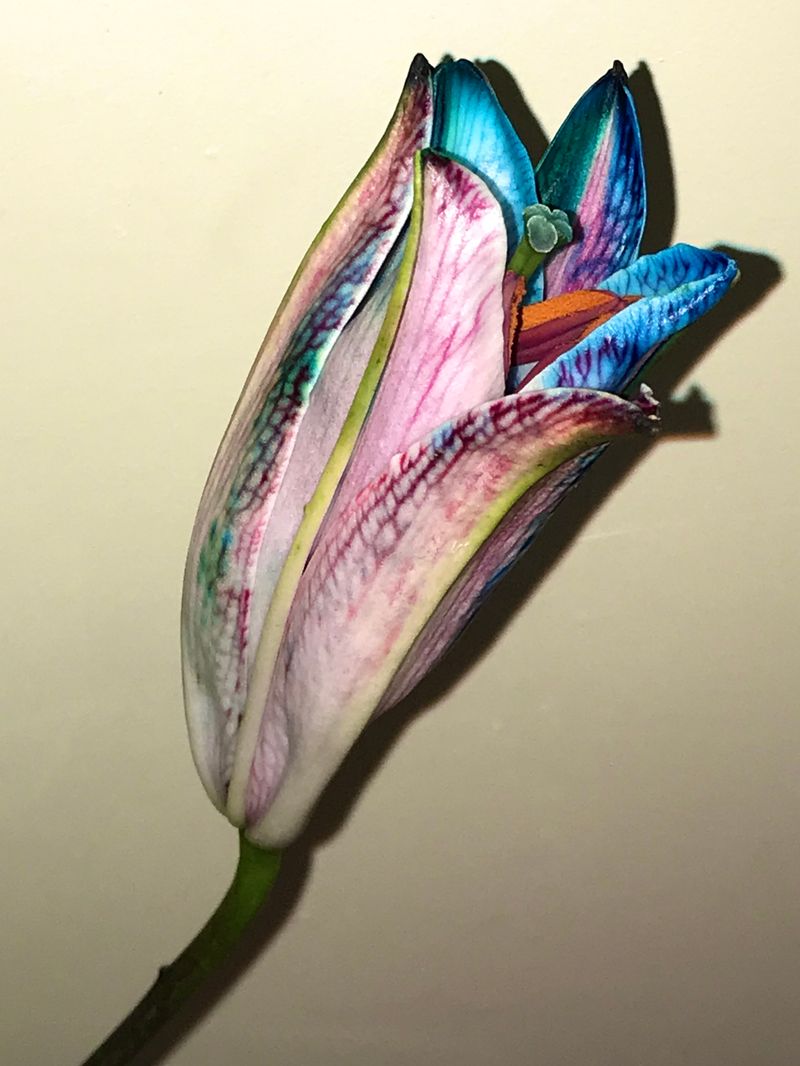 © Aditya Sinha - Image from the The Aftertaste of Loneliness photography project