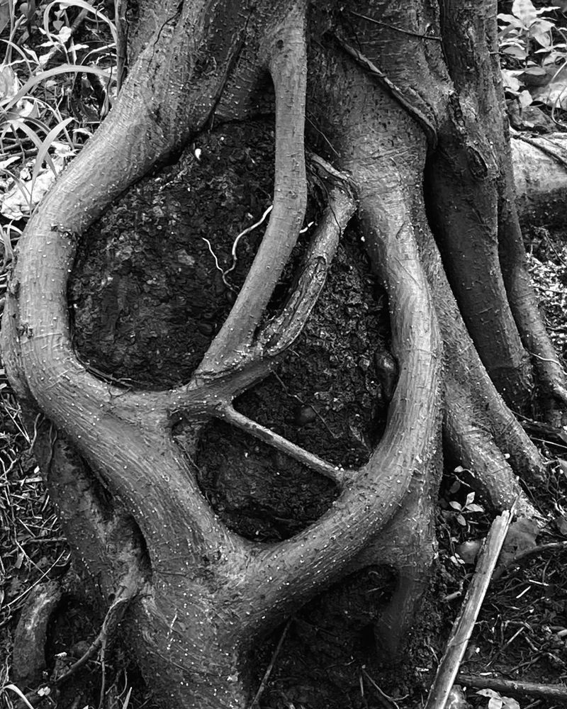 © Aditya Sinha - Image from the The Aftertaste of Loneliness photography project