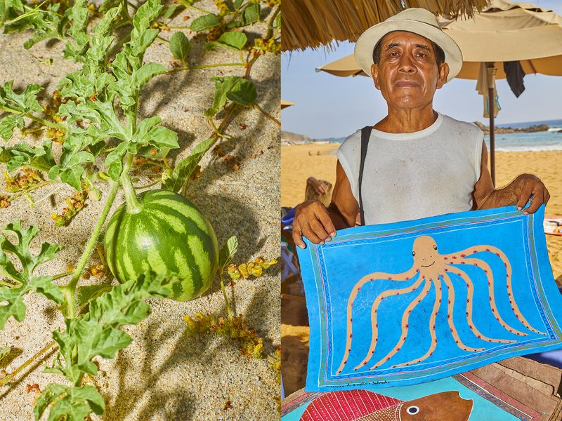 © Francesca Forquet - Image from the Viva México photography project