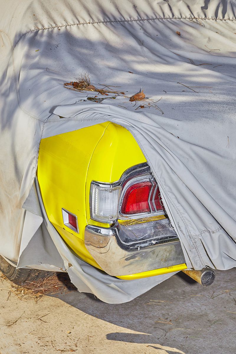 © Francesca Forquet - Spotted