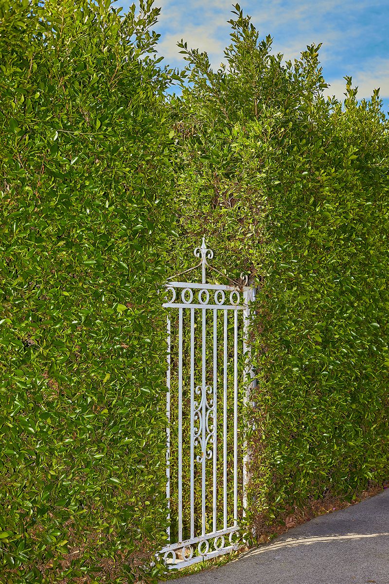 © Francesca Forquet - Secret Garden