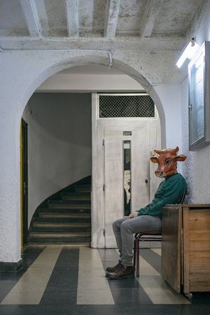 Plastic Animals