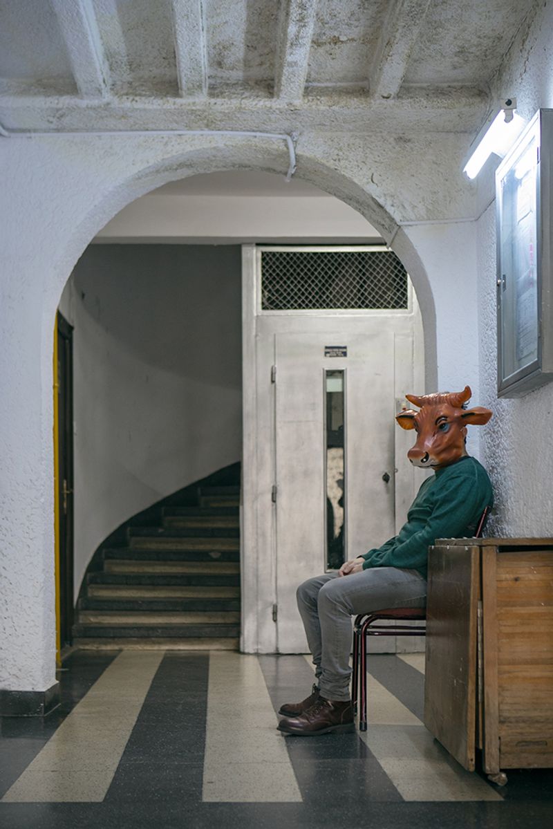 © Merav Maroody - Image from the Plastic Animals photography project