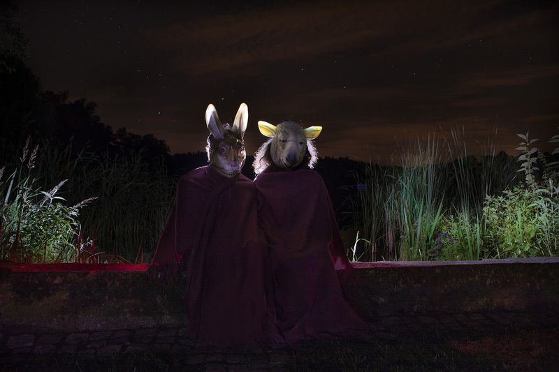 © Merav Maroody - Image from the Plastic Animals photography project