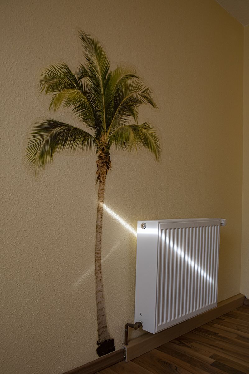 © Merav Maroody - Light