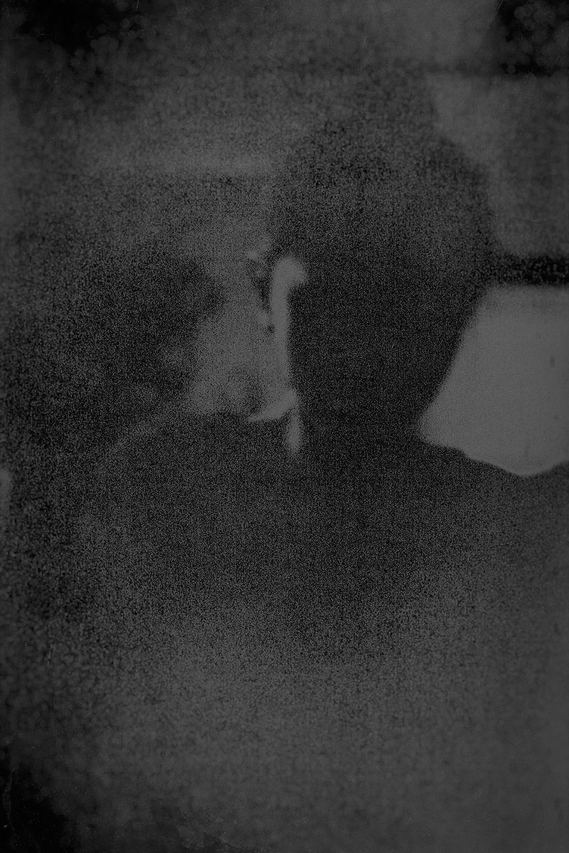 © Philip LePage - Image from the Still... photography project