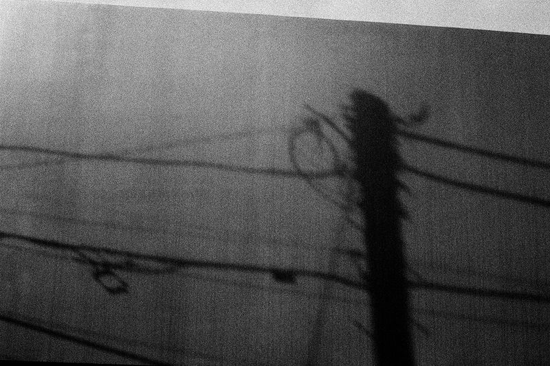 © Philip LePage - Image from the Still... photography project