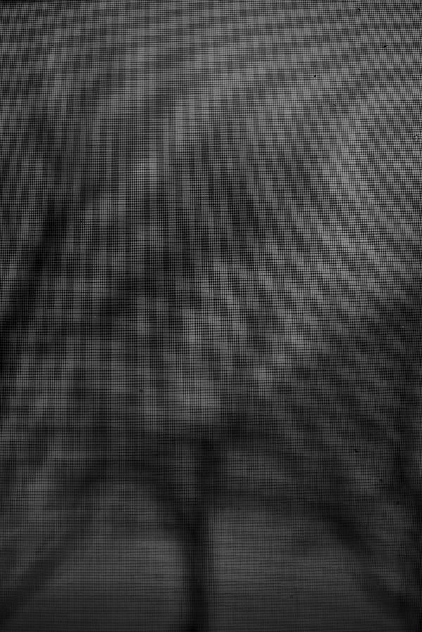 © Philip LePage - Image from the Still... photography project