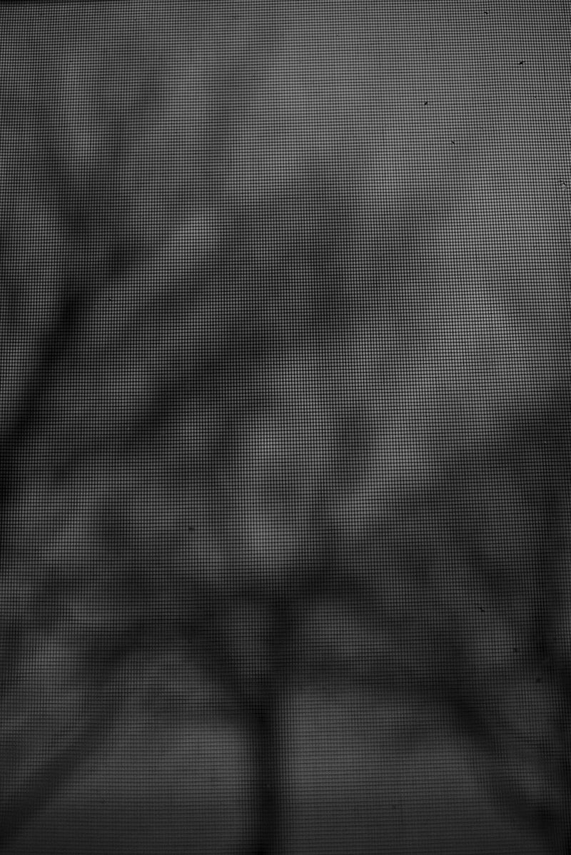 © Philip LePage - Image from the Still... photography project