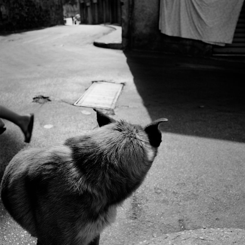 © Mimi Mollica - Image from the Terra Nostra photography project