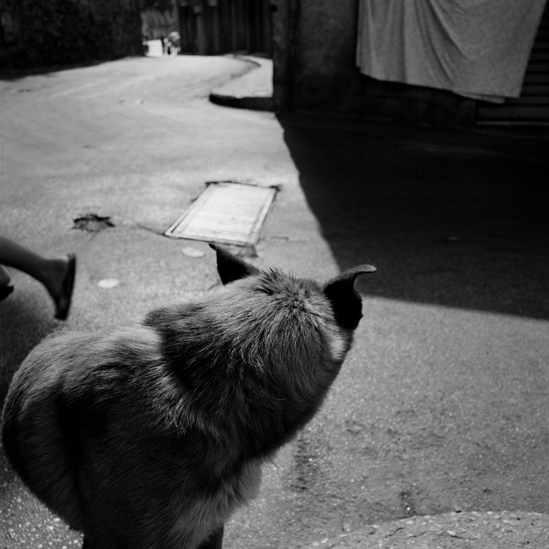 © Mimi Mollica - Image from the Terra Nostra photography project