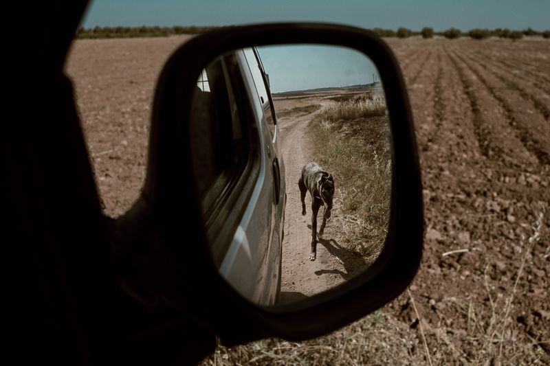 © Maria Portaluppi - Image from the Buena cama, pan duro y tierra llana (Nice bed, hard bread and flat land) photography project