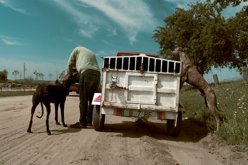 © Maria Portaluppi - Image from the Buena cama, pan duro y tierra llana (Nice bed, hard bread and flat land) photography project