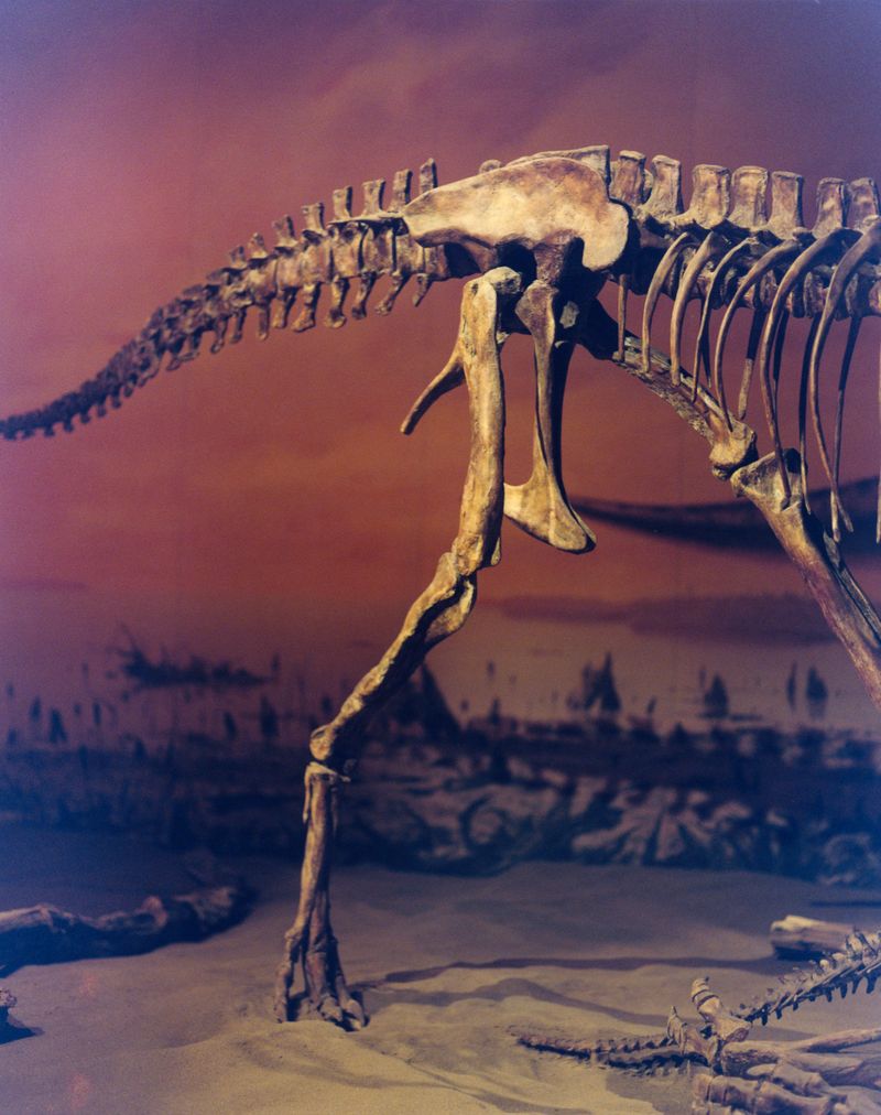 © Teo Becher - Image from the Alberta Crude photography project