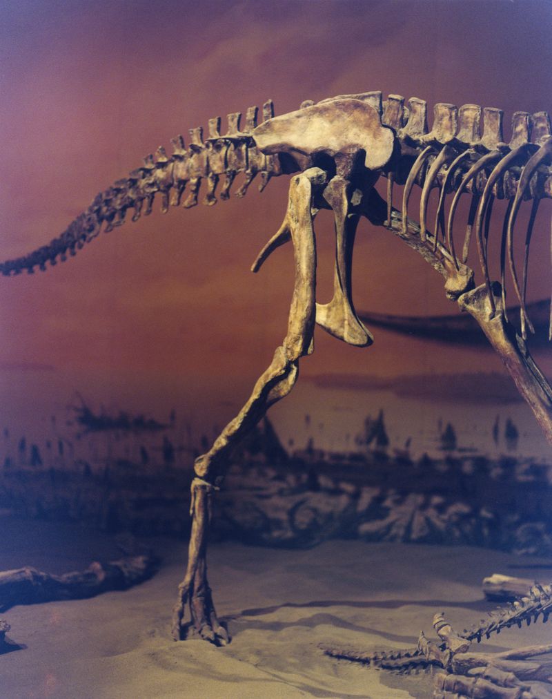 © Teo Becher - Image from the Alberta Crude photography project