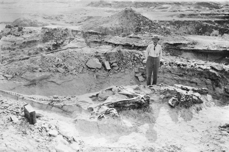© Teo Becher - Excavation of a dinosaur skeleton, Drumheller, ca. 1912