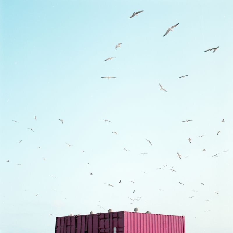 © Iggy Smalls - Image from the Neverland photography project