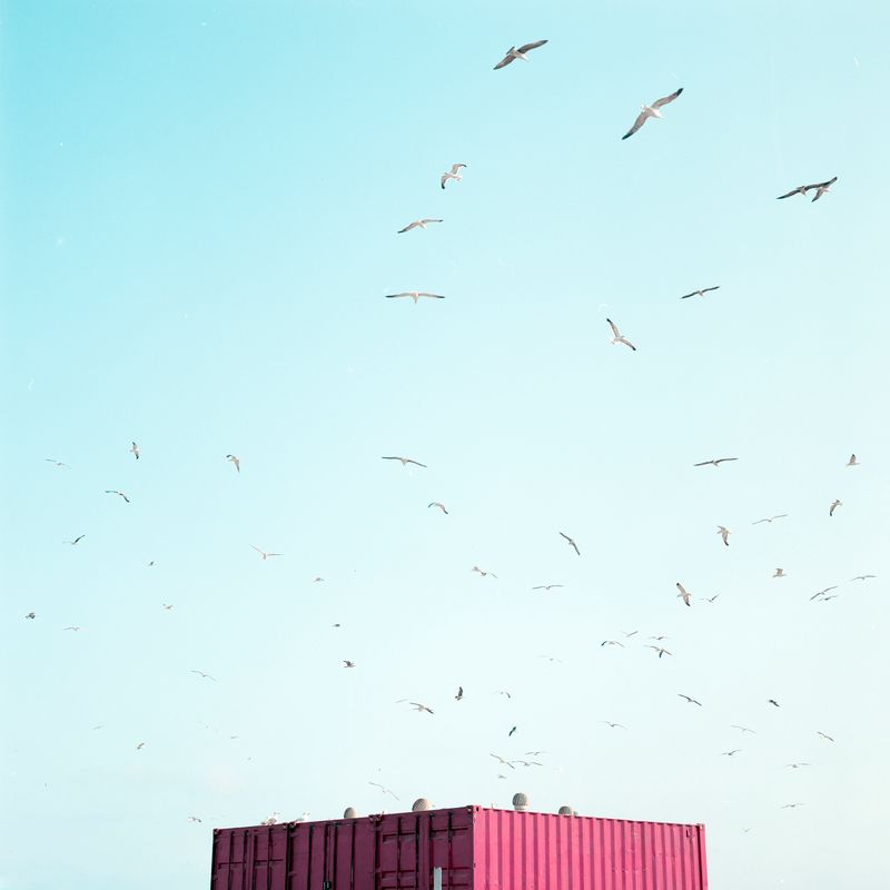 © Iggy Smalls - Image from the Neverland photography project