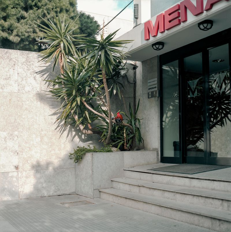 © Iggy Smalls - Image from the Neverland photography project