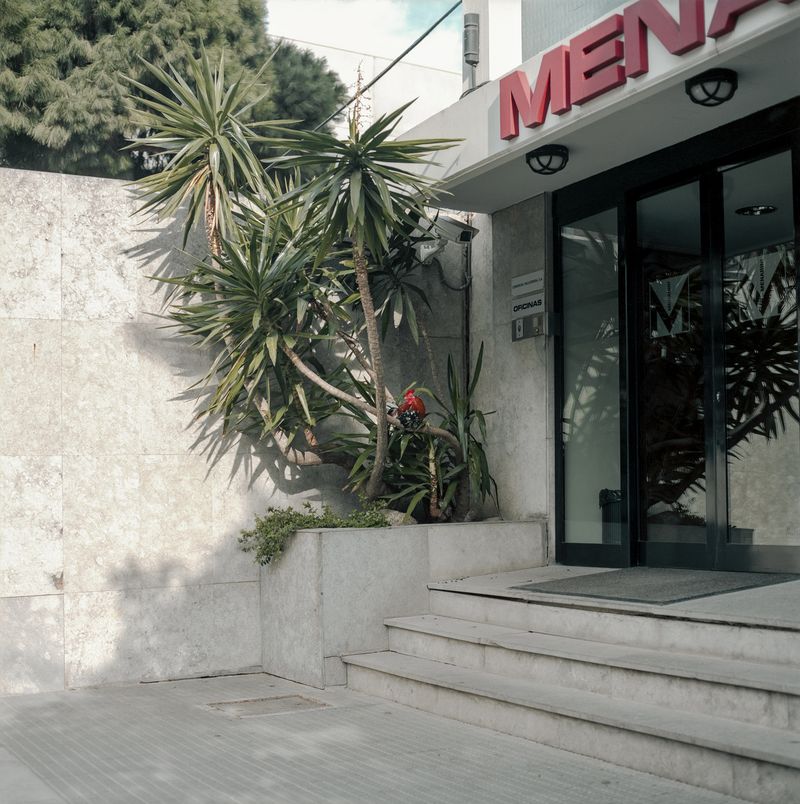 © Iggy Smalls - Image from the Neverland photography project