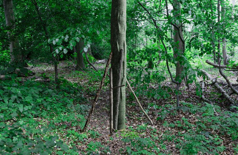 © Joeri Boelhouwer - The treehouse