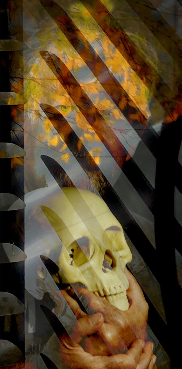 © Neil Berkowitz - "Burning Bright"